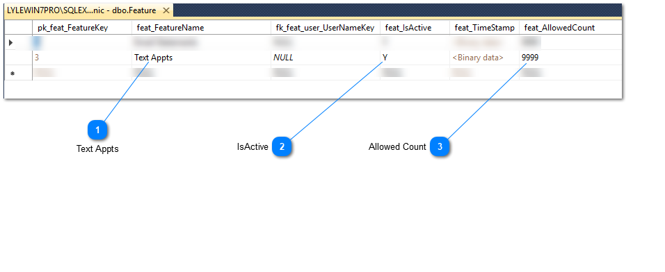 Text Appts - Features Table Setup